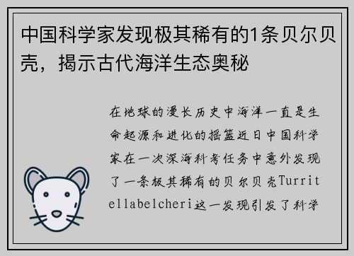 中国科学家发现极其稀有的1条贝尔贝壳，揭示古代海洋生态奥秘