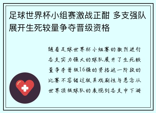 足球世界杯小组赛激战正酣 多支强队展开生死较量争夺晋级资格
